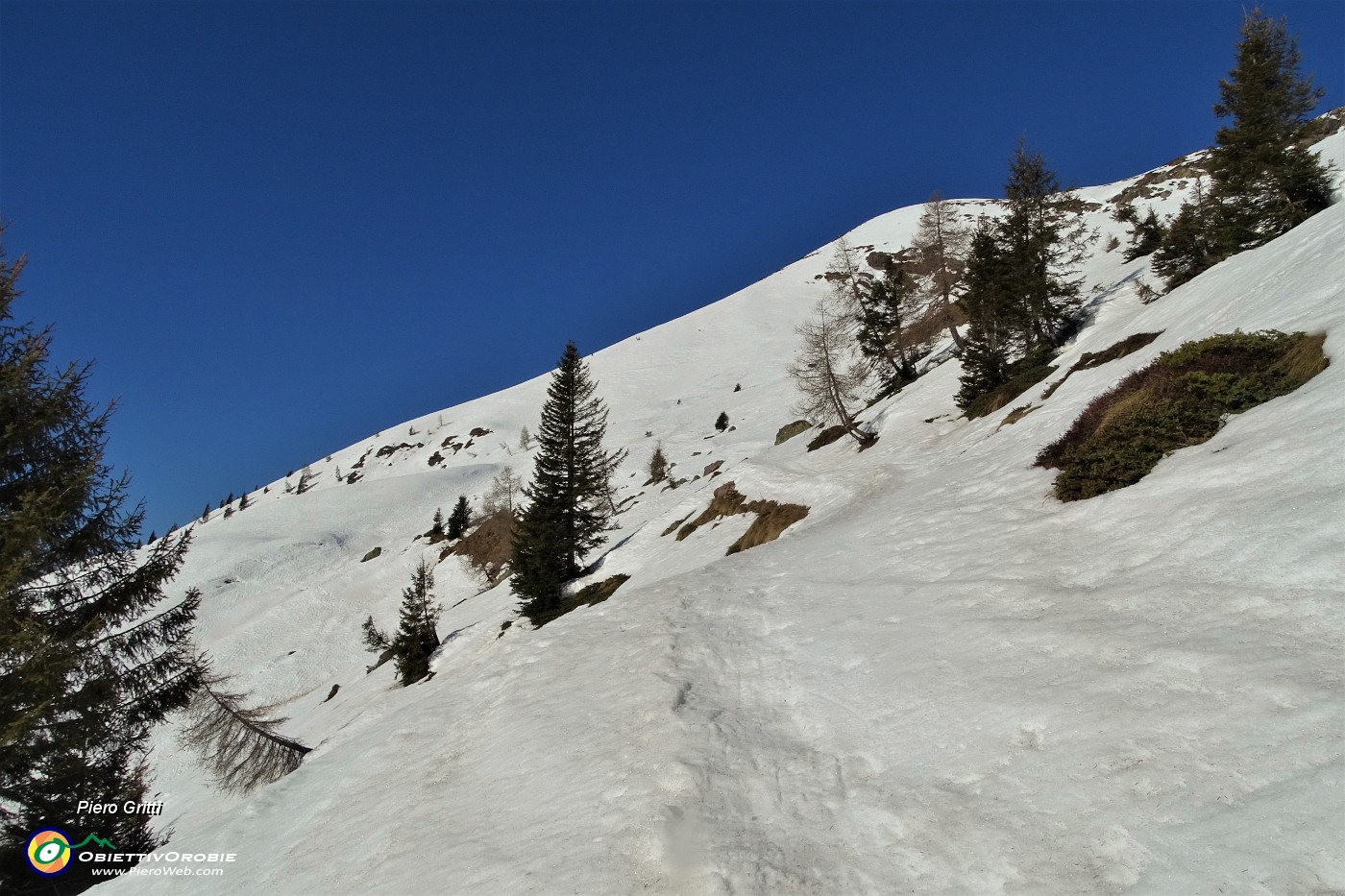 15 Per salire sul Monte Avaro seguo la traccia del sent. 190A.JPG